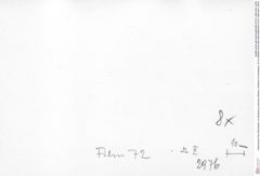 Historisches Foto (Rückseite) von Bullariscus patruliusi (Robins, Feldmann & Schweitzer, 2013) (NHMW-AFW-GEO-BACHMAYER-FOTO-1990-0041-2976)